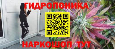 сатива Ирбит