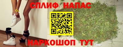 сатива Ирбит