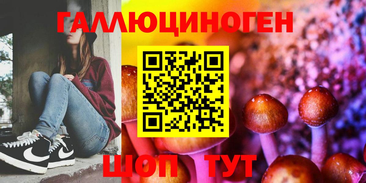 Галлюциногенные грибы Psilocybe  что такое   Вход с VPN  Рославль  Галлюциногенные грибы MAGIC MUSHROOMS 